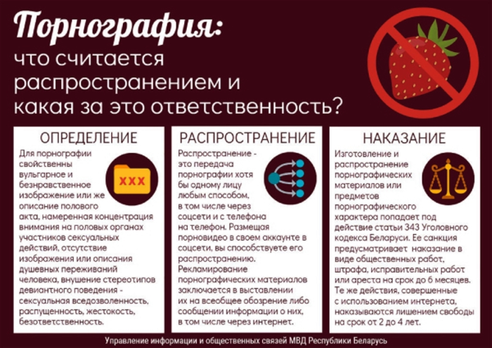 В Германии политика посадили на 3,5 года за совращение детей и хранение порно